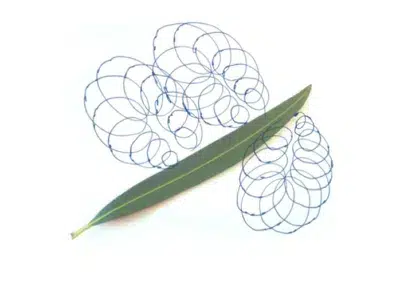 Feuille de laurier