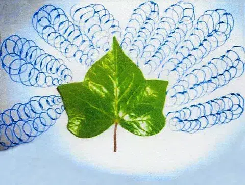 Rayonnement_moment_coupe_feuille