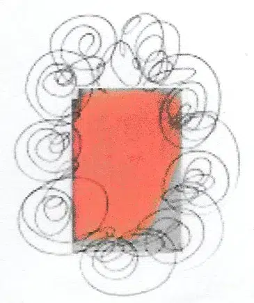 Saumon fumé bio